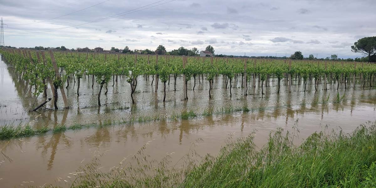 In Emilia Romagna inizia la conta dei danni, 21 mila aziende agricole coinvolte